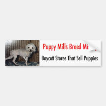 Bumpersticker Bumper Sticker