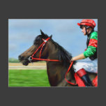 Bunbury Red - Racehorse Art Postcards