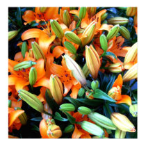 bunch flowers posters