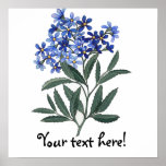 Bunch of Blue Blossoms posters