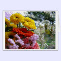Grupo de flores postais
