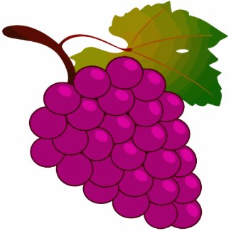Bunch of grapes photosculpture