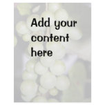 Bunch of Green Grapes Flyer