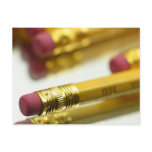 Bunch Of Pencils Post Cards