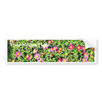 Bunch Of Tiny Daisies bumper stickers