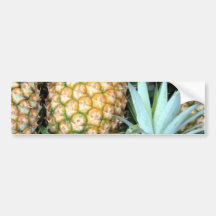 Bunch of Tropical Hawaiian Pineapples Bumper Stickers