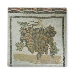 Bunch of white grapes, Roman mosaic Magnet