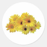 Bunch of Yellow Daisies Round Sticker