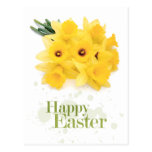 Bunch of Yellow Easter Daffodils - Postcard postcards