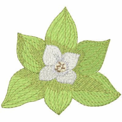 Bunchberry Bunchberry