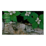 Bunchberry Business Cards