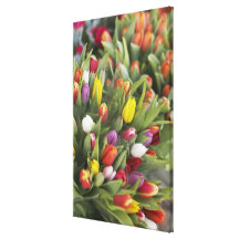 Bunches of colorful tulips canvas prints