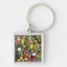 Bunches of colorful tulips key chains