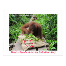 Bundle of Love for Valentine's Day Post Cards