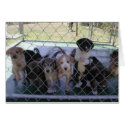 Bundles of Joy cards