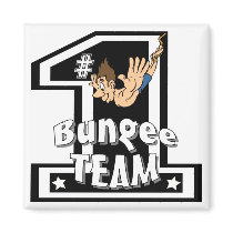 Bungee Team magnets