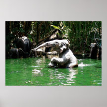 Bungle in the Jungle 36 x 24 Poster