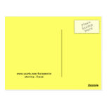 Bunni the kitty postcard postcards