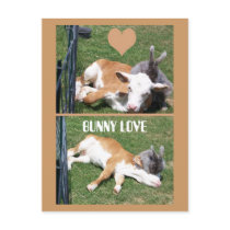 BUNNIE LOVES CALF postcards by KABSANNIE BUNNIE LOVES CALF postcards
