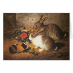 Bunnies and Guinea Pig Greeting Card
