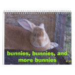 bunnies, bunnies, and more bunnies calendars
