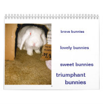 bunnies calendars