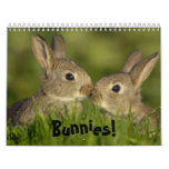 Bunnies calender wall calendar