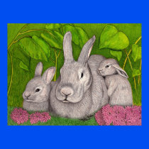 Bunnies