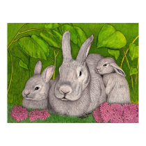 Bunnies posters