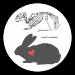 Bunny Anatomy stickers