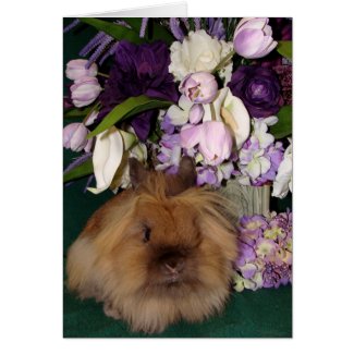 Bunny and Blooms 05 card