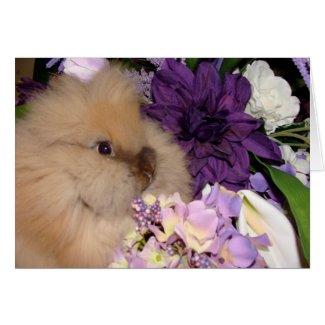 Bunny and Blooms 09 card