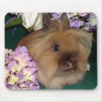 Bunny and Blooms mousepad