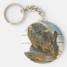 Bunny and Chipmunk Sharing Key Chains