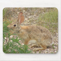 Bunny At Supper mousepads