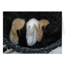 Bunny Basket cards by jdaichman Bunny Basket cards