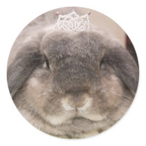 Bunny bling (sticker)