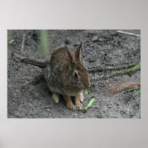 Bunny Brunch posters