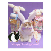Bunny Bubba 2 Post Card