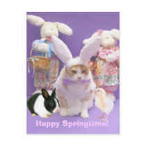 Bunny Bubba 2 postcards
