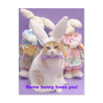 Bunny Bubba 3 postcards