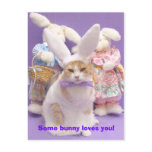 Bunny Bubba 3 postcards