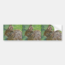 Bunny Bumper Sticker