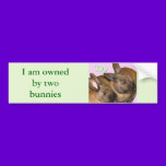Bunny Bunnies Two Bunnies bumper stickers