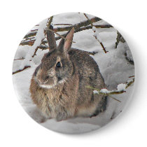 Bunny Button