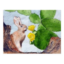 Bunny Cactus postcards