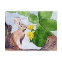 Bunny Cactus postcards
