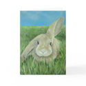 Bunny Card card