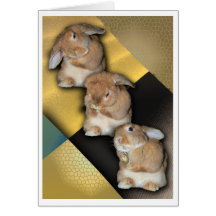 Bunny Card 17
