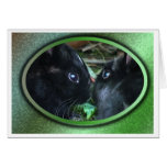Bunny Card 18